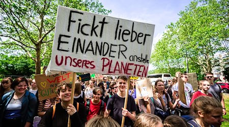 Symbolbild Fridays For Future / pixabay dmncwndrlch