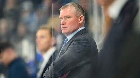 DEL-Aufsteiger Dresdner Eislöwen trennt sich von Trainer Niklas Sundblad (Foto: Archiv) / Foto: Robert Michael/dpa