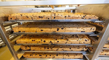 The giant tunnel is made from hundreds of individual slabs / Photo: Daniel Wagner/dpa