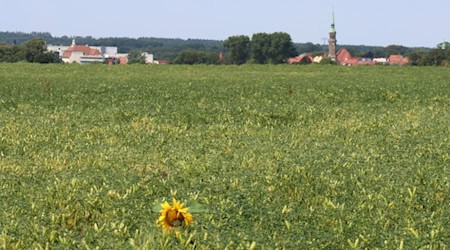 Bürgerinitiative Radeberg