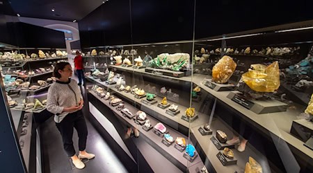 Die Mineraliensammlung in Freiberg soll modernisiert werden. (Archivfoto) / Foto: Hendrik Schmidt/dpa-Zentralbild/ZB