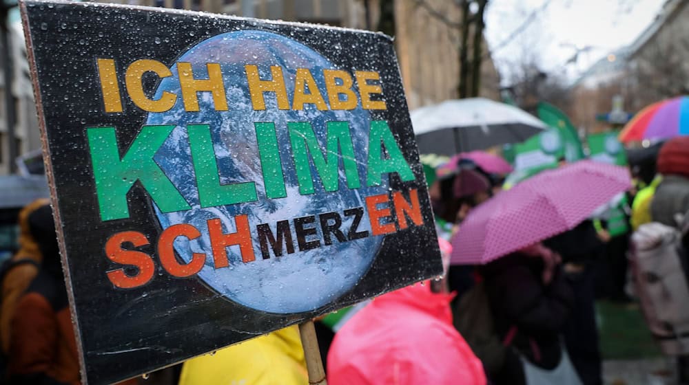 Die Klimaschutzbewegung Fridays for Future hat am Freitag auch in Dresden viele junge Menschen mobilisiert (Symbolbild). / Foto: Christian Charisius/dpa