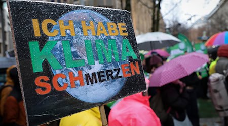 Die Klimaschutzbewegung Fridays for Future hat am Freitag auch in Dresden viele junge Menschen mobilisiert (Symbolbild). / Foto: Christian Charisius/dpa