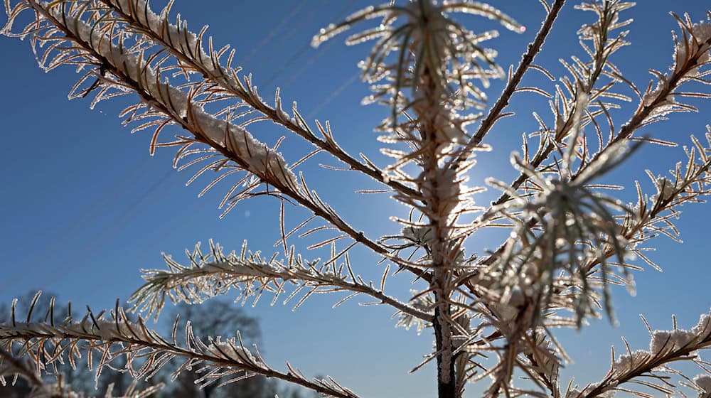 Nach Angaben des DWD gefriert im oberen Bergland Freitag und Samstag vereinzelt Sprühregen, der zu Glätte führen kann. (Archivbild)  / Foto: Matthias Bein/dpa