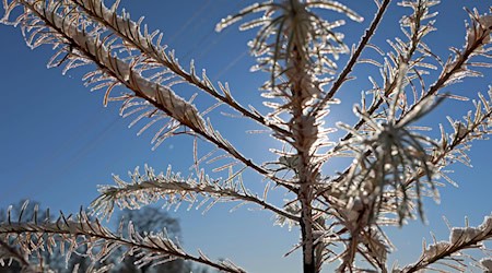 Nach Angaben des DWD gefriert im oberen Bergland Freitag und Samstag vereinzelt Sprühregen, der zu Glätte führen kann. (Archivbild)  / Foto: Matthias Bein/dpa