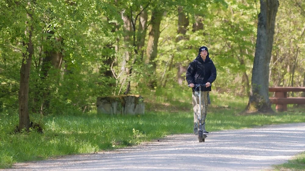 Symbolbild Elektroroller / pixabay Surprising_Media