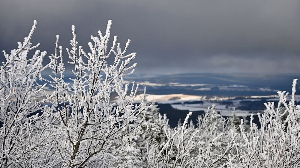 In Sachsen wird es zum Wochenstart winterlich.  / Foto: Jennifer Brückner/dpa
