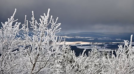 In Sachsen wird es zum Wochenstart winterlich.  / Foto: Jennifer Brückner/dpa