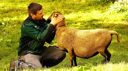 Das Siegerfoto "Verbundenheit" von Yvonne Schüttoff. 