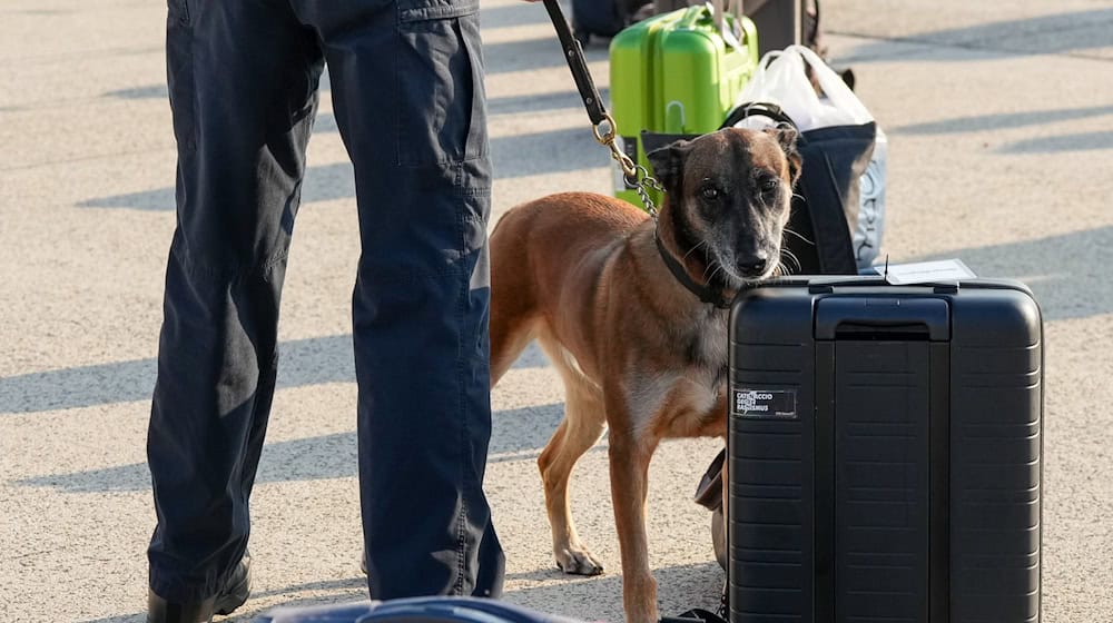 According to his statements, the man's luggage was closely scrutinized. (Symbolic image) / Photo: Soeren Stache/dpa