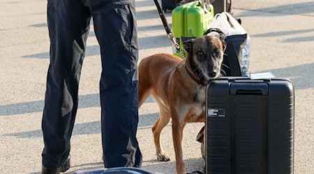 Багаж чоловіка був ретельно перевірений відповідно до його заяв. (Символічне зображення) / Фото: Soeren Stache/dpa