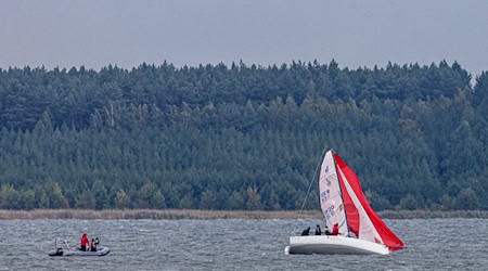 Auf dem Geierswalder See ist ein Mann über Bord gegangen. (Symbolbild) / Foto: Frank Hammerschmidt/dpa