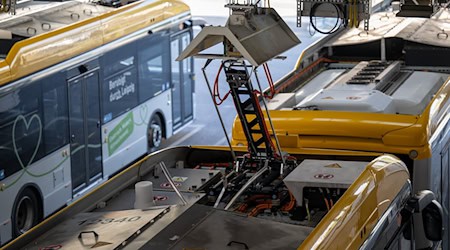 In Landsberg treffen sich viele Busunternehmen aus Sachsen, Sachsen-Anhalt und Thüringen zu den 20. Mitteldeutschen Omnibustagen. (Symbolbild) / Foto: Hendrik Schmidt/dpa