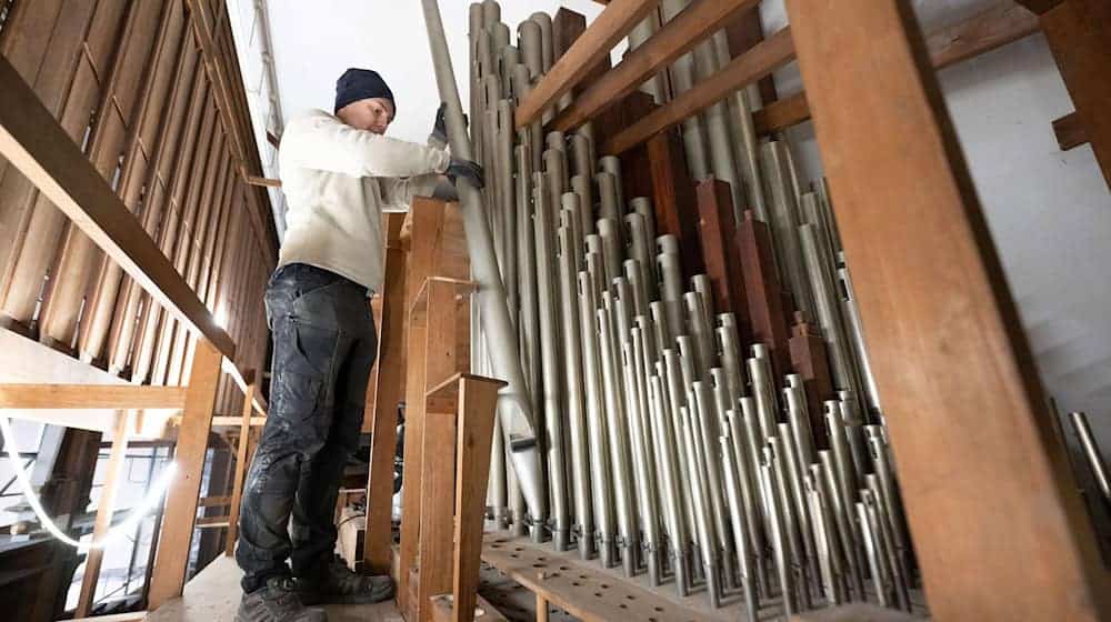 Gran parte del órgano Sauer tiene que ser retirado para la renovación del ayuntamiento de Görlitz. / Foto: Sebastian Kahnert/dpa