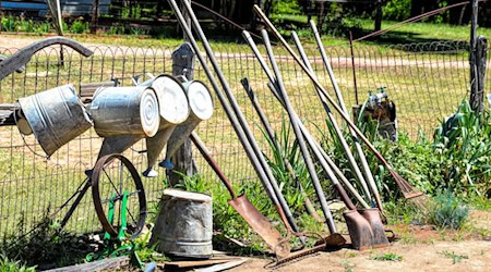 Was draußen verrostet, hält in einer gut organisierten Gartenwerkstatt deutlich länger. / Foto: Ray Shrewsberry auf unsplash.com