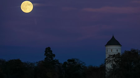 Sachsen erlebt ein ruhiges, teils trübes Herbstwochenende mit milden Temperaturen und lokal kräftigem Wind. / Foto: Jan Woitas/dpa