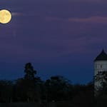 Sachsen erlebt ein ruhiges, teils trübes Herbstwochenende mit milden Temperaturen und lokal kräftigem Wind. / Foto: Jan Woitas/dpa