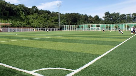 Symbolbild Kunstrasen / pixabay HeungSoon