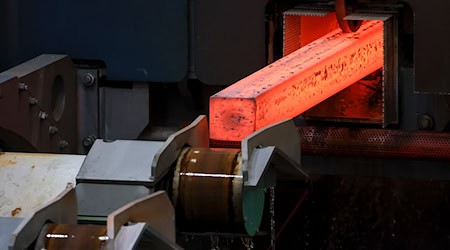 Feralpi Stahl входить до десятки найбільших виробників сталі в Німеччині. (Архівне зображення) / Фото: Jan Woitas/dpa