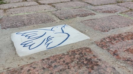 Pflasterstein mit Friedenstaube in der Görnischen Gasse. Foto: Stadt Meißen