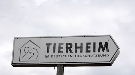 Künftig gibt es mehr Förderung für Tierschutz in Sachsen. (Symbolbild) / Foto: Waltraud Grubitzsch/dpa-Zentralbild/dpa