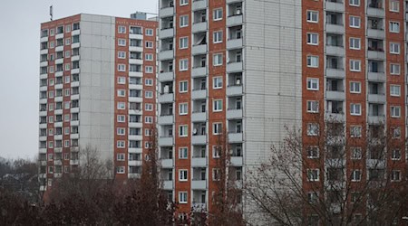 A ZDF report accompanies people in Prohlis through their everyday lives. (Symbolic image) / Photo: Jan Woitas/dpa