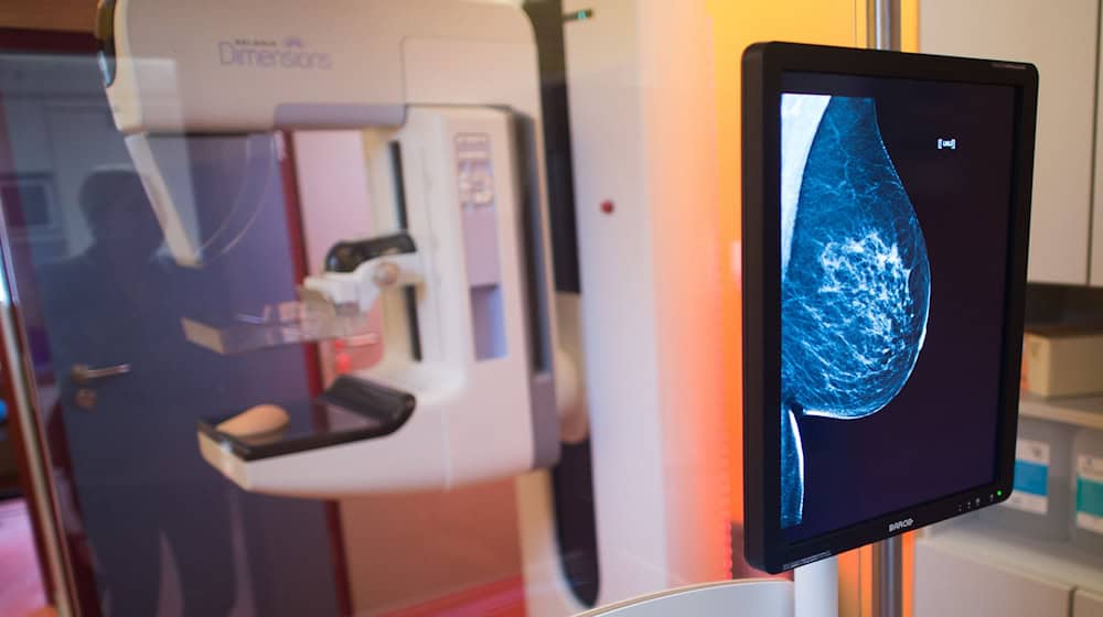 Every two years, women between 50 and 75 receive an invitation to a mammography screening. (Symbolic image) / Photo: Klaus-Dietmar Gabbert/dpa-Zentralbild/dpa