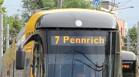 Unter anderem der Fahrplan der Linie 7 kam am Donnerstagnachmittag aufgrund einer Vollbremsung durcheinander. Foto: DVB AG