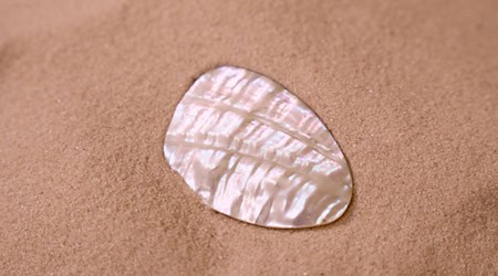 Perlmutt als natürliches Element, das die einzigartige Ästhetik hochwertiger Zifferblätter prägt. / Foto: cottonbro studio auf pexels.com