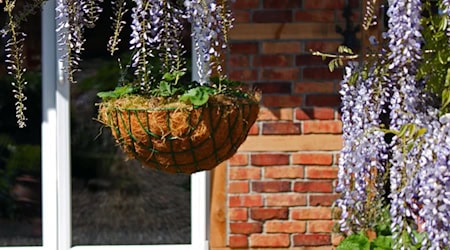 Symbolbild Terrassentür / pixabay KRiemer