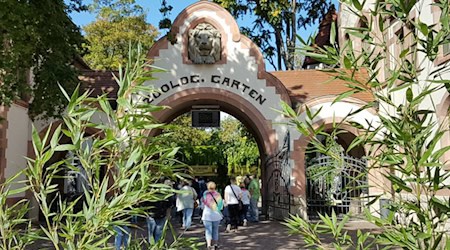 Der Leipziger Zoo (hier der historische Eingang der Anlage) hat eine bittere Anweisung zu befolgen: alle Krauskopfpelikane mussten wegen eines Vogelgrippefalls getötet werden. Foto: Zoo Leipzig
