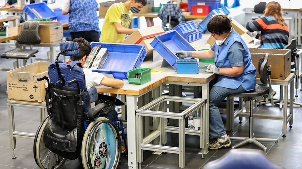 Der DGB fordert mehr Einsatz sächsischer Unternehmen für die Beschäftigung von Menschen mit Behinderung. (Archivbild)  / Foto: Jan Woitas/dpa-Zentralbild/dpa