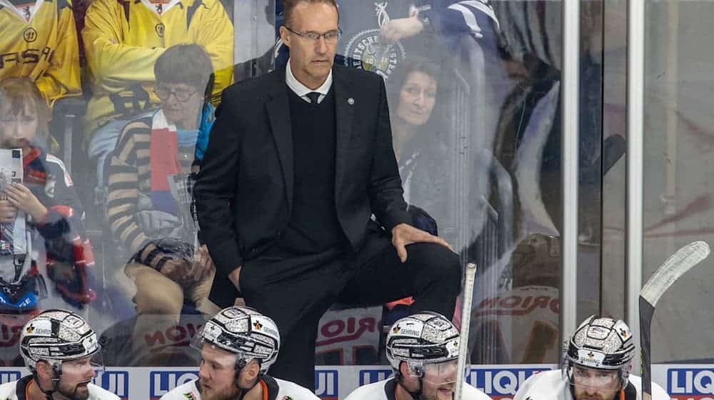 Fleming takes over in Dresden. (Archive image) / Photo: Andreas Gora/dpa