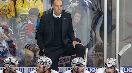 Fleming takes over in Dresden. (Archive image) / Photo: Andreas Gora/dpa