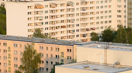 The "Musaik" orchestra with girls and boys from 17 countries wants to open the windows of prefabricated buildings like an Advent calendar on December 18. (Archive photo) / Photo: Sebastian Kahnert/dpa-Zentralbild/dpa