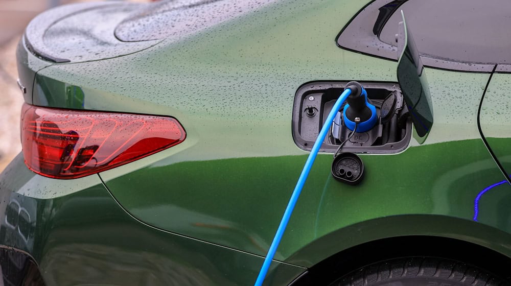 Politicians are planning new premiums for e-cars. (Archive image) / Photo: Jan Woitas/dpa