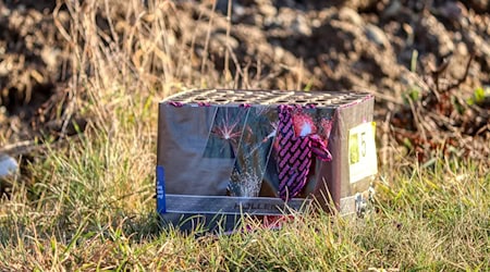 Symbolbild Böller / pixabay planet_fox