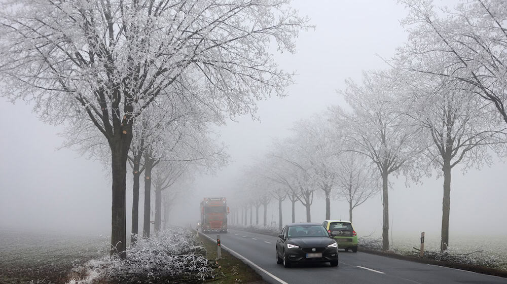 Auf dem Fichtelberg ist nach Angaben des DWD am Samstag mit leicht stürmischem Wind zu rechnen. (Archivbild) / Foto: Matthias Bein/dpa
