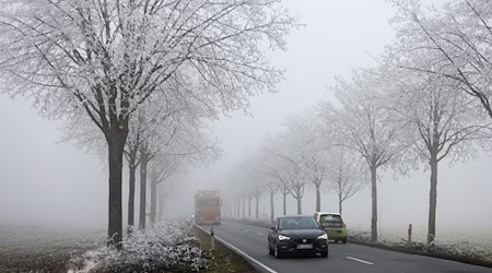 Auf dem Fichtelberg ist nach Angaben des DWD am Samstag mit leicht stürmischem Wind zu rechnen. (Archivbild) / Foto: Matthias Bein/dpa