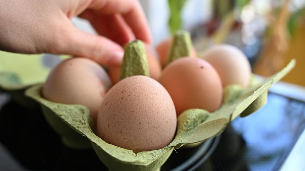 Shortages of eggs in Saxony - expert expects slight easing in January. (Symbolic image) / Photo: Elisa Schu/dpa