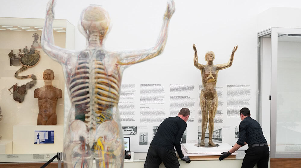 The historical model of the Glass Woman will now be presented in a climate showcase at the Deutsches Hygiene-Museum / Photo: Sebastian Kahnert/dpa