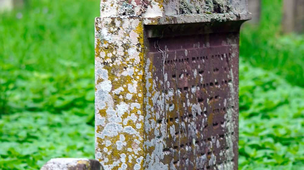 Symbolbild Friedhöfe / pixabay matthiasboeckel