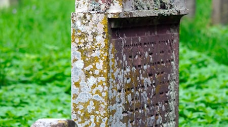 Symbolbild Friedhöfe / pixabay matthiasboeckel