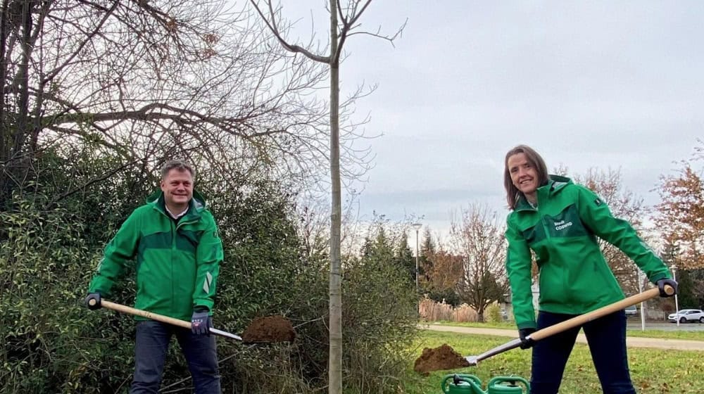 Oberbürgermeister Thomas Schubert und Bürgermeisterin Friederike Trommer pflanzten Baum des Jahres 2025. Foto: Stadtverwaltung Coswig