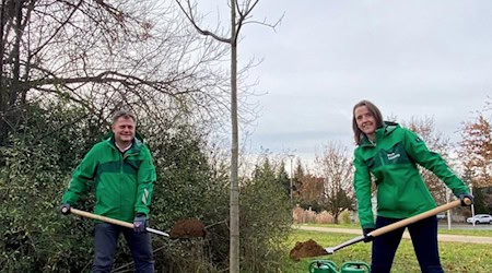 Oberbürgermeister Thomas Schubert und Bürgermeisterin Friederike Trommer pflanzten Baum des Jahres 2025. Foto: Stadtverwaltung Coswig