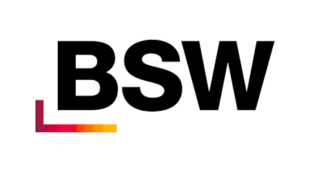 Symbolbild BSW-Fraktion / pixabay OpenClipart-Vectors