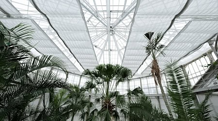 Енергетичний екран виготовлений з вогнетривкої пластикової тканини / Фото: Sebastian Kahnert/dpa