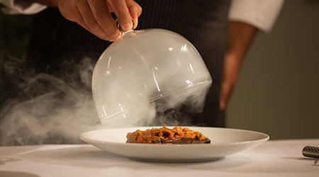 Symbolbild Michelin-Sterne / pixabay guillermomuro00