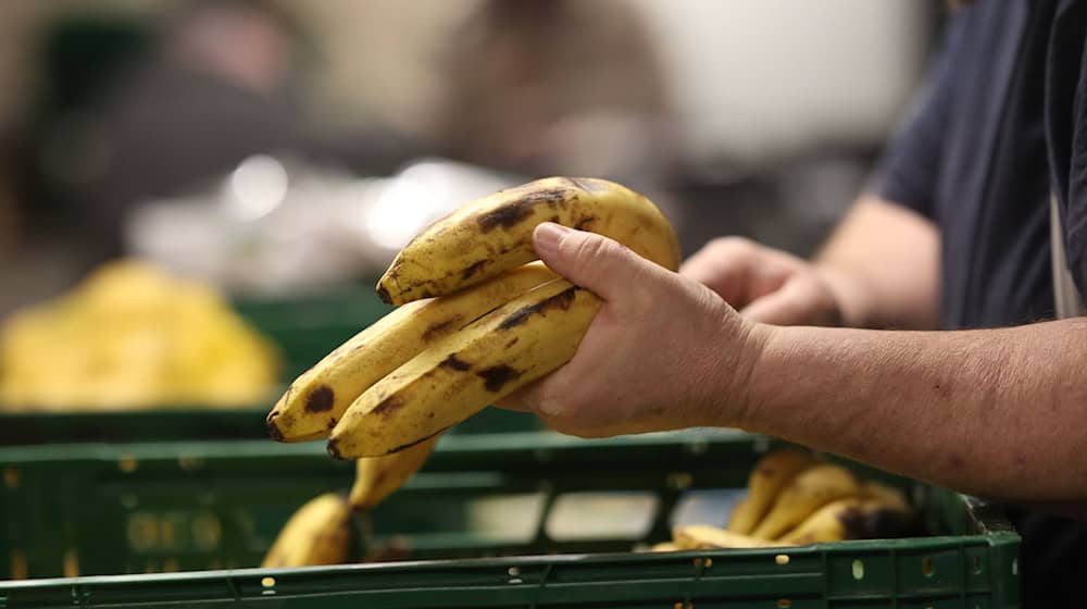 The annual balance sheet shows that around 900,000 collections were registered at the distribution points in Saxony.  / Photo: Matthias Bein/dpa