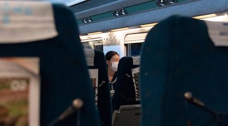 Symbolbild Fernzüge / pixabay wal_172619